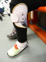 vergrößerte Bildansicht wird geöffnet